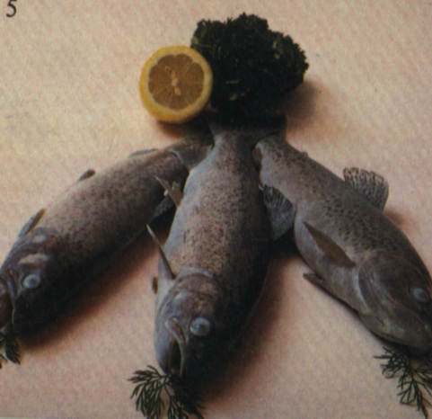 Fisch / Meeresfr�chte